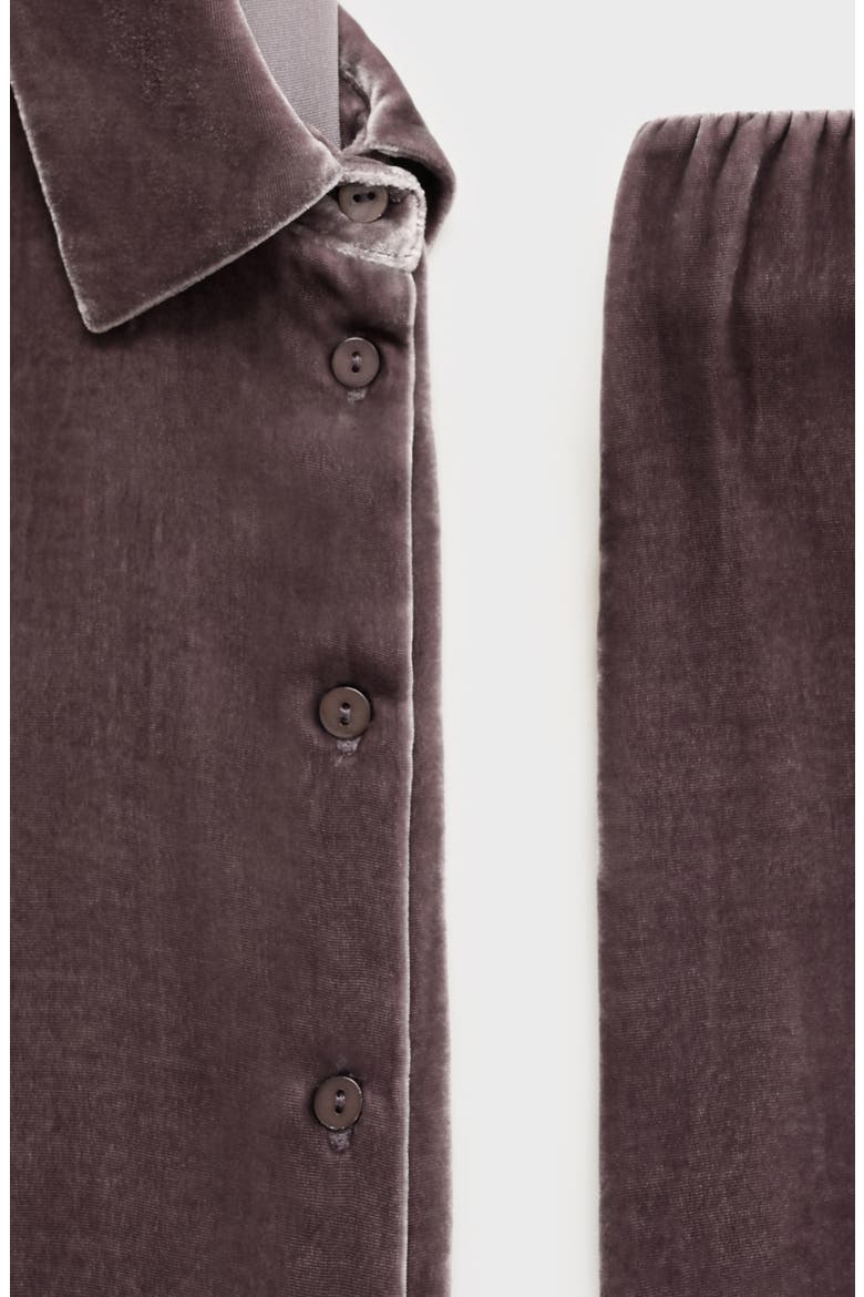 Velvet Lounge Pants, Alternate, color, BLACKBERRY