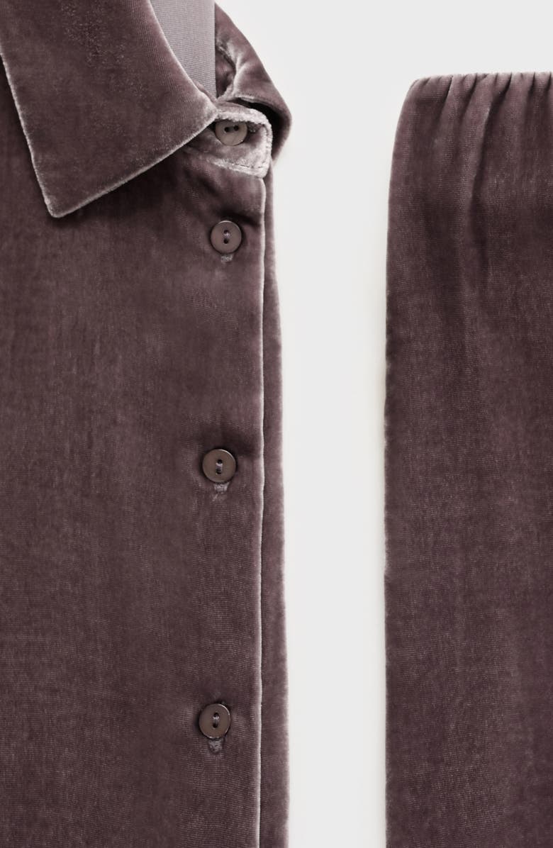 MANGO Velvet Lounge Pants, Alternate, color, Blackberry