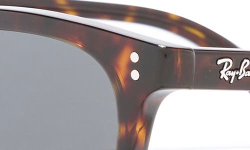Ray Ban Ray-ban Zaya 53mm Sunglasses In Havana