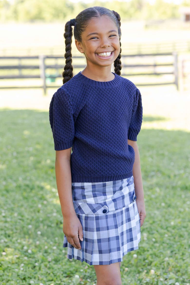 Plaid Pleated Skirt, Alternate, color, Blue & Navy Plaid