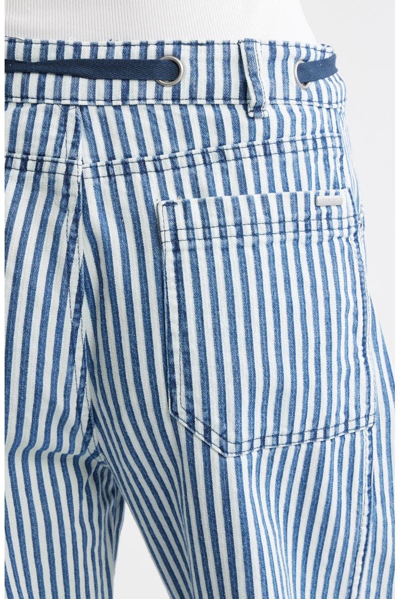 Crop Cargo Pants, Alternate, color, BLUE STRIPE