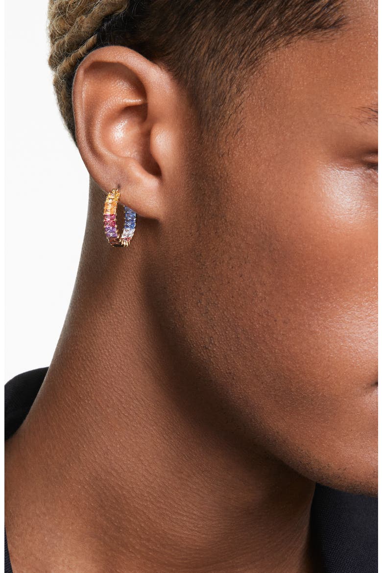 Matrix Pride Hoop Earrings, Alternate, color, MULTICOLORED