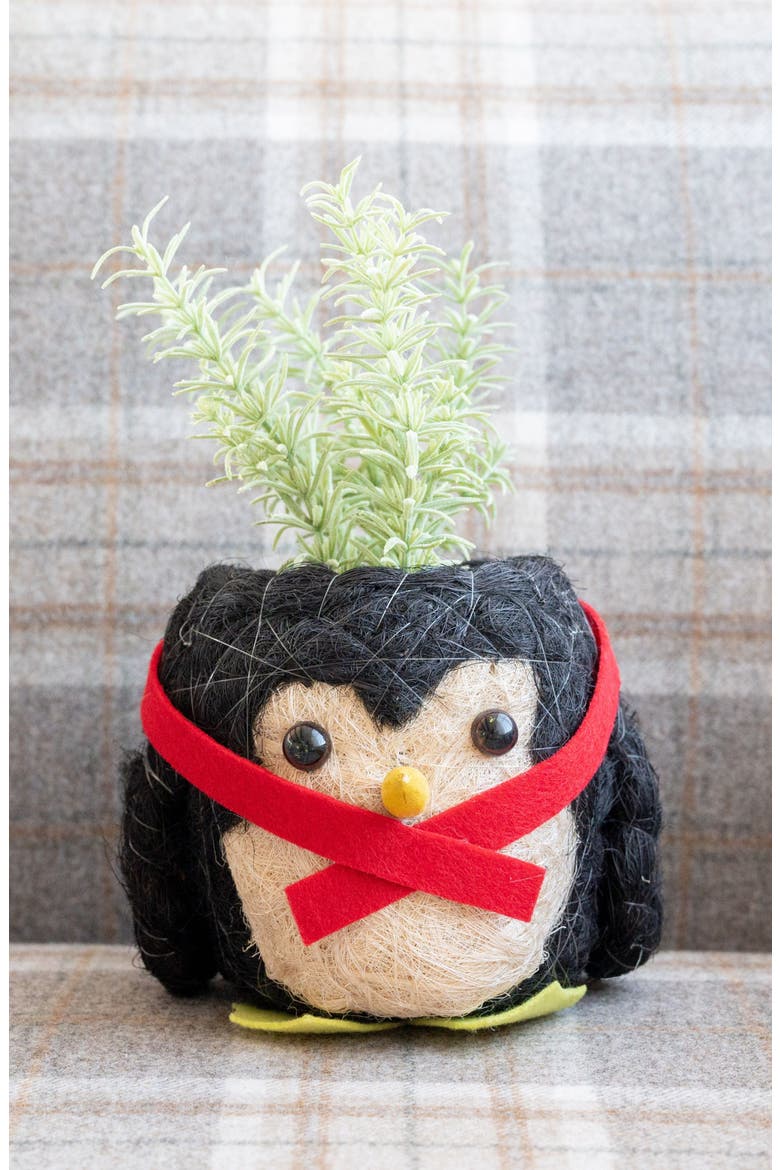 Winter Animal Coco Coir Planters, Alternate, color, Black