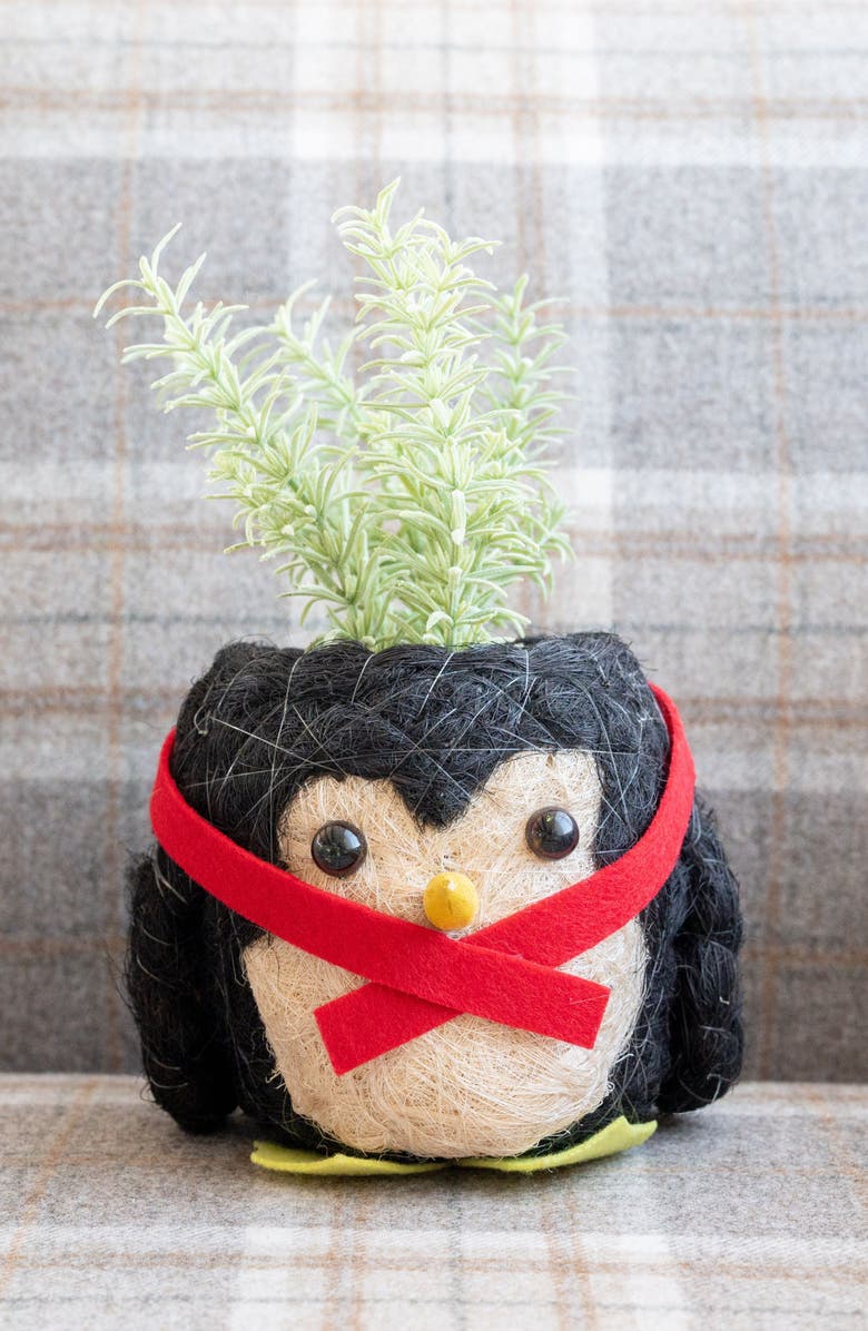 LIKHA Winter Animal Coco Coir Planters, Alternate, color, Black