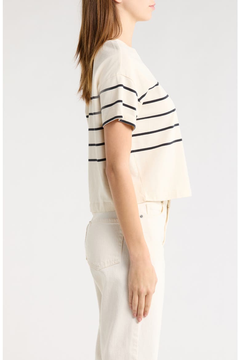 Stripe Cotton T-Shirt, Alternate, color, BLACK/ WHITE STRIPE