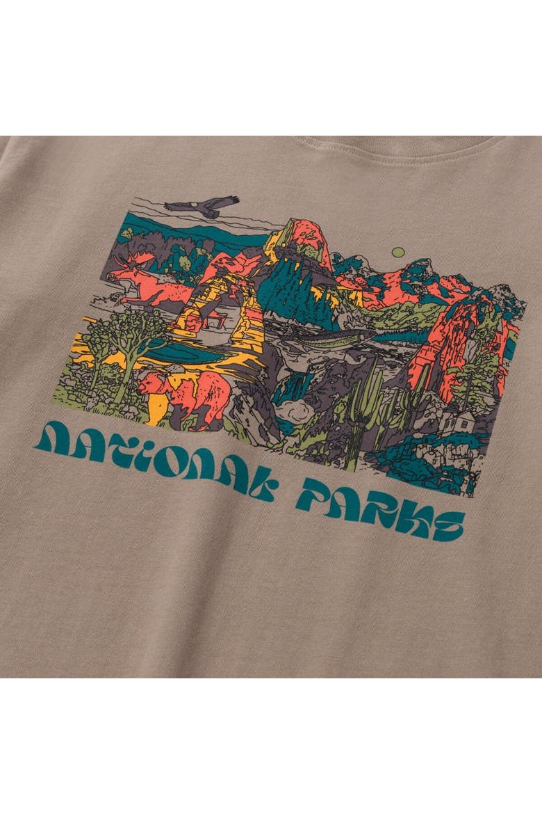 National Parks Collage Boxy Long-Sleeve T-Shirt - Women's, Alternate, color, Mushroom Grey