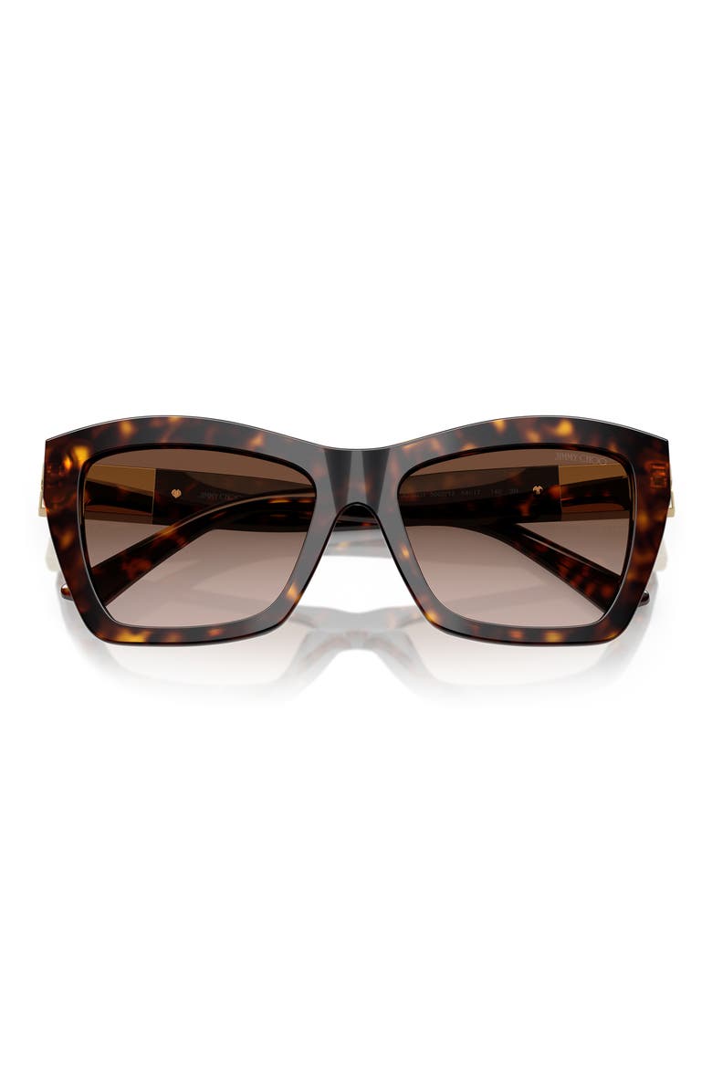 54mm Gradient Cat Eye Sunglasses, Alternate, color, HAVANA / GRADIENT BROWN