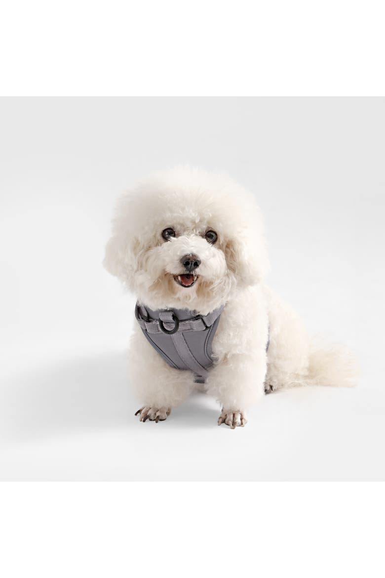 Arlo Adjustable Soft Padded No Pull Pet Harness with 3 Buckles and 3 Leash Clips, Alternate, color, Gray