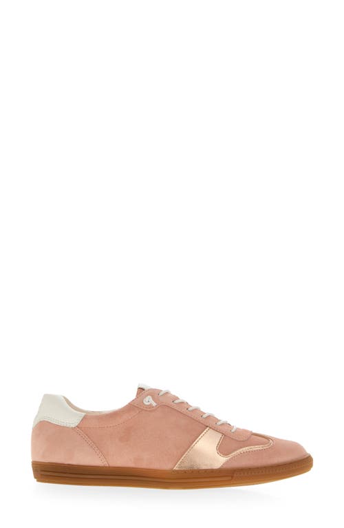Paul Green Alison Sneaker In Rose Rosato Soft Suede