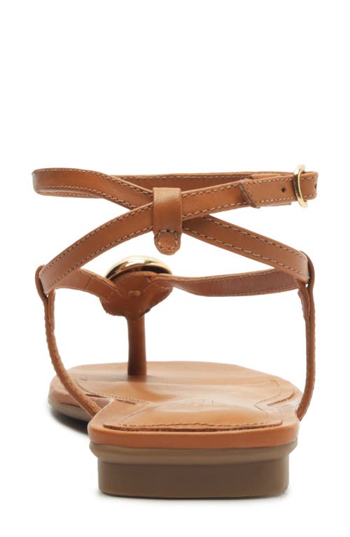 Arezzo Zuri Ankle Strap Sandal In Jungle Nut