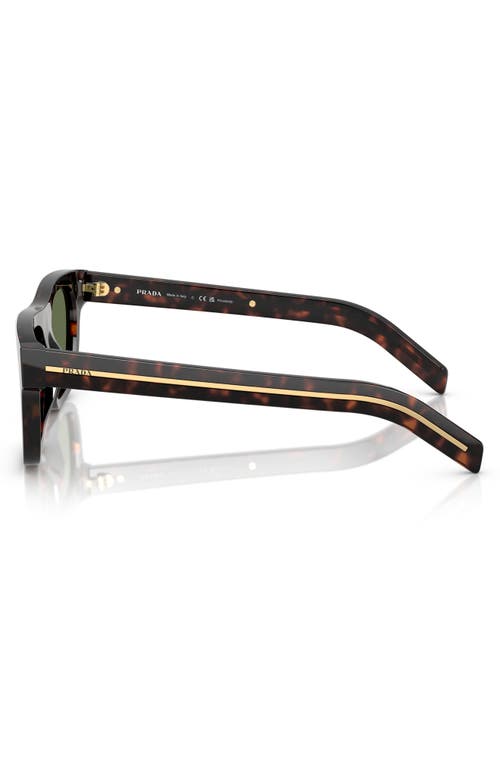 Prada Acetate Prb12s Sunglasses In Brown Tortoise