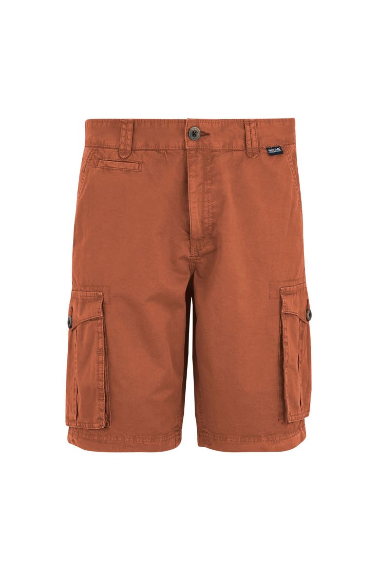 Shorebay II Cargo Shorts, Main, color, Brick