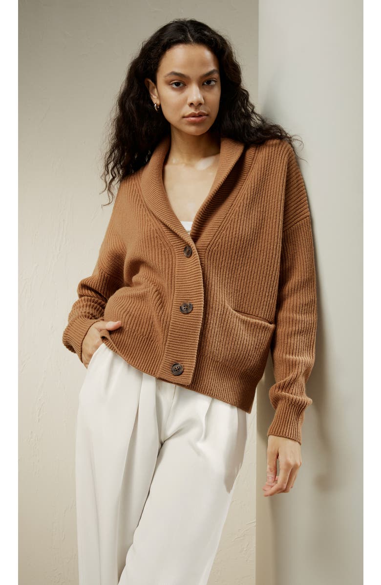 Lilysilk Wool Knit Shawl Collar Cardigan, Alternate, color, Toffee
