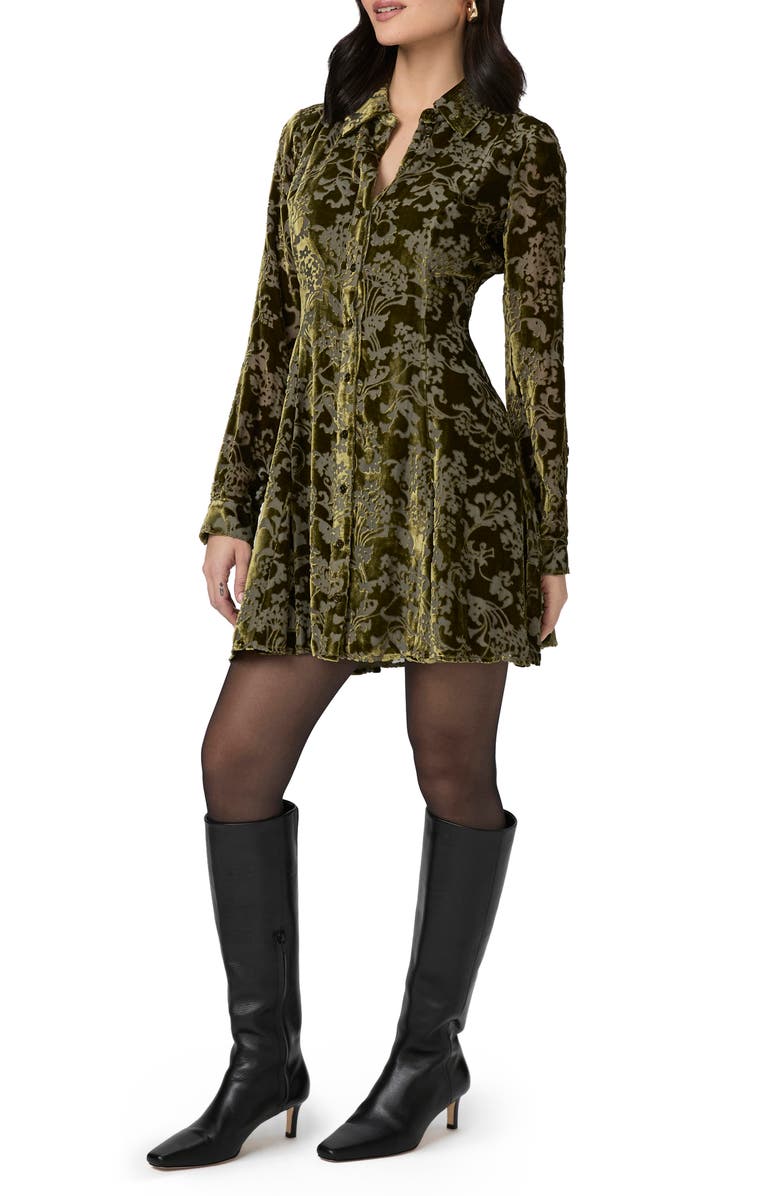 PAIGE Desano Burnout Long Sleeve Shirtdress, Alternate, color, Spanish Moss