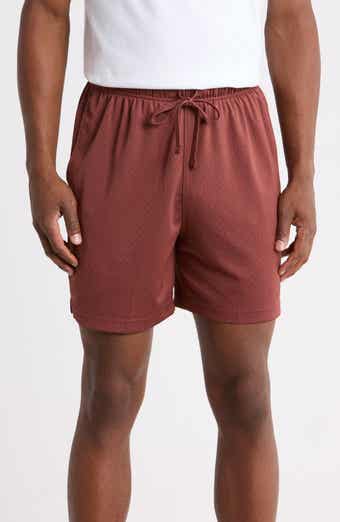 Jordan Dri-FIT Sport Mesh Shorts
