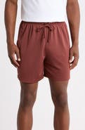 Nike Jordan Dri-FIT Sport Mesh Shorts