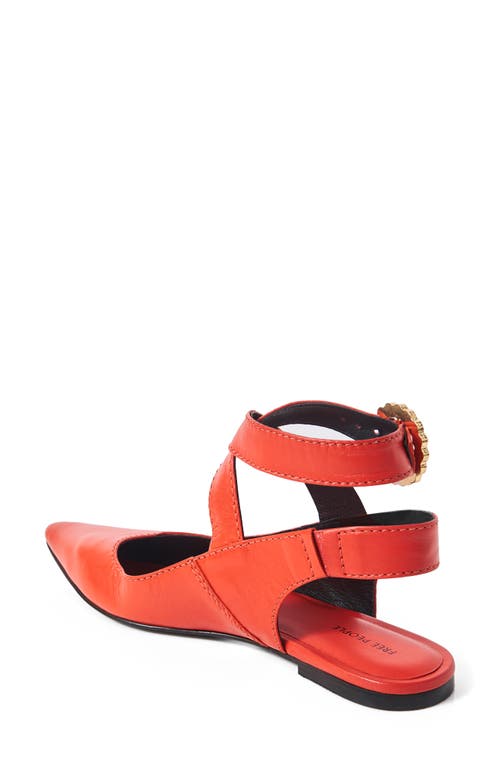 Shop Free People Parisa Ankle Strap Pointed Toe Flat In Red