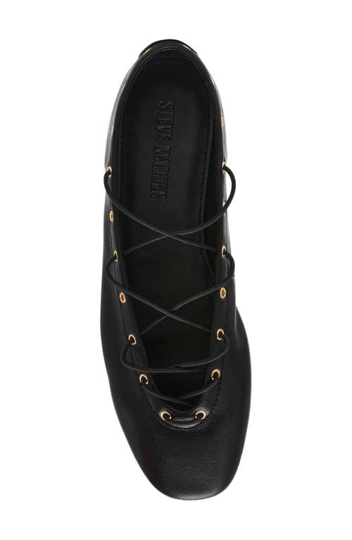 Steve Madden Pointe Ballet Flat