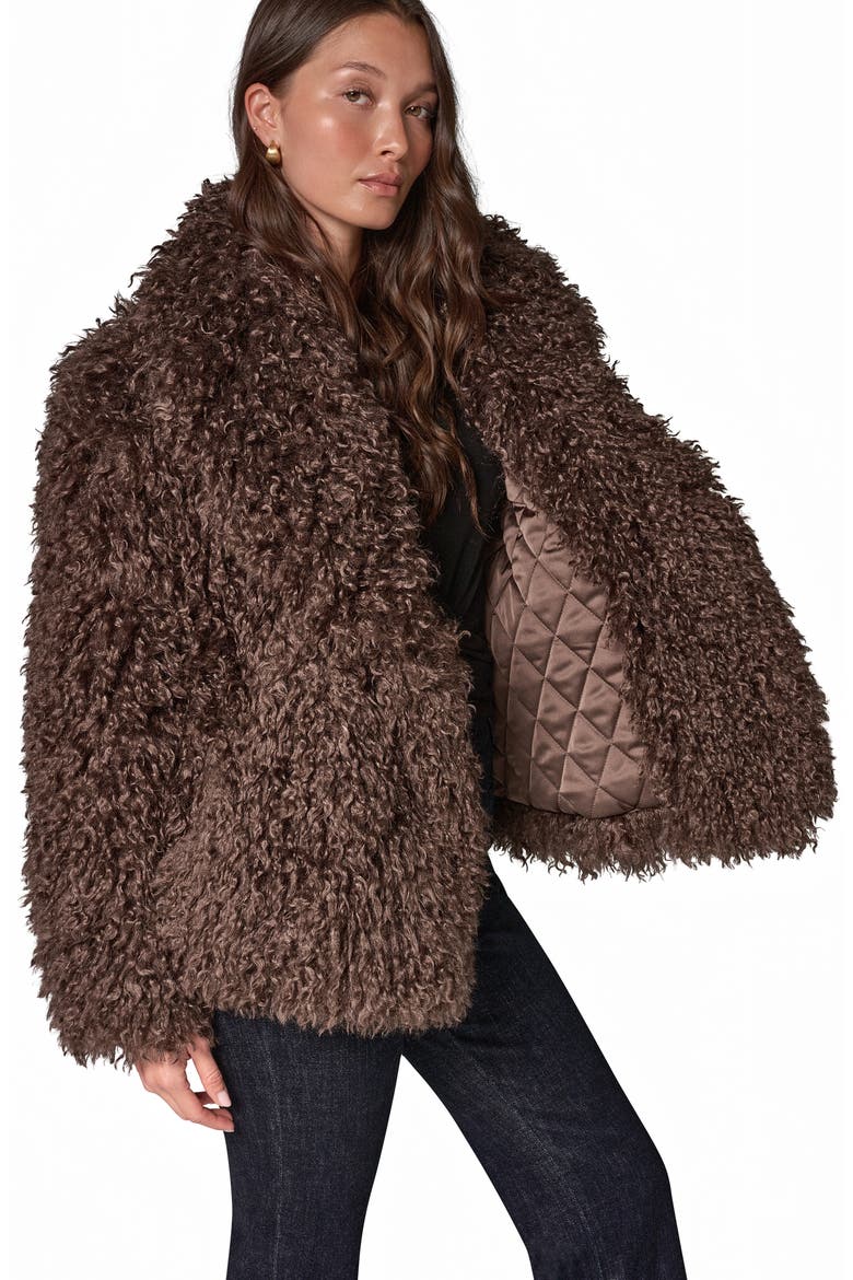 Faux Fur Shawl Collar Jacket, Alternate, color, ESPRESSO