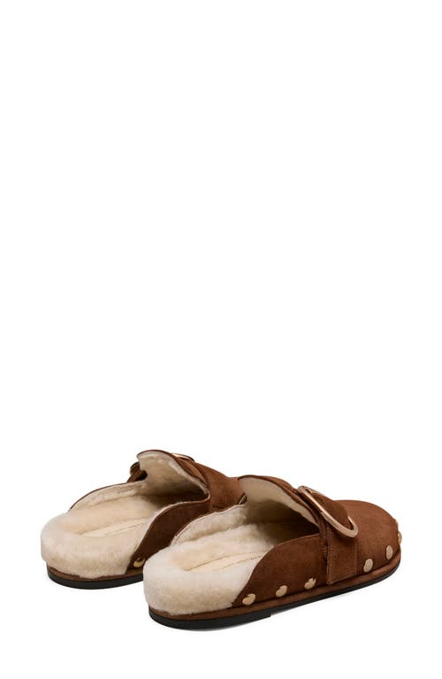 Stuart Weitzman Studded Faux Shearling Lined Mule In Brown