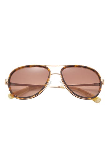 Ted Baker London 57mm Aviator Sunglasses In Tortoise