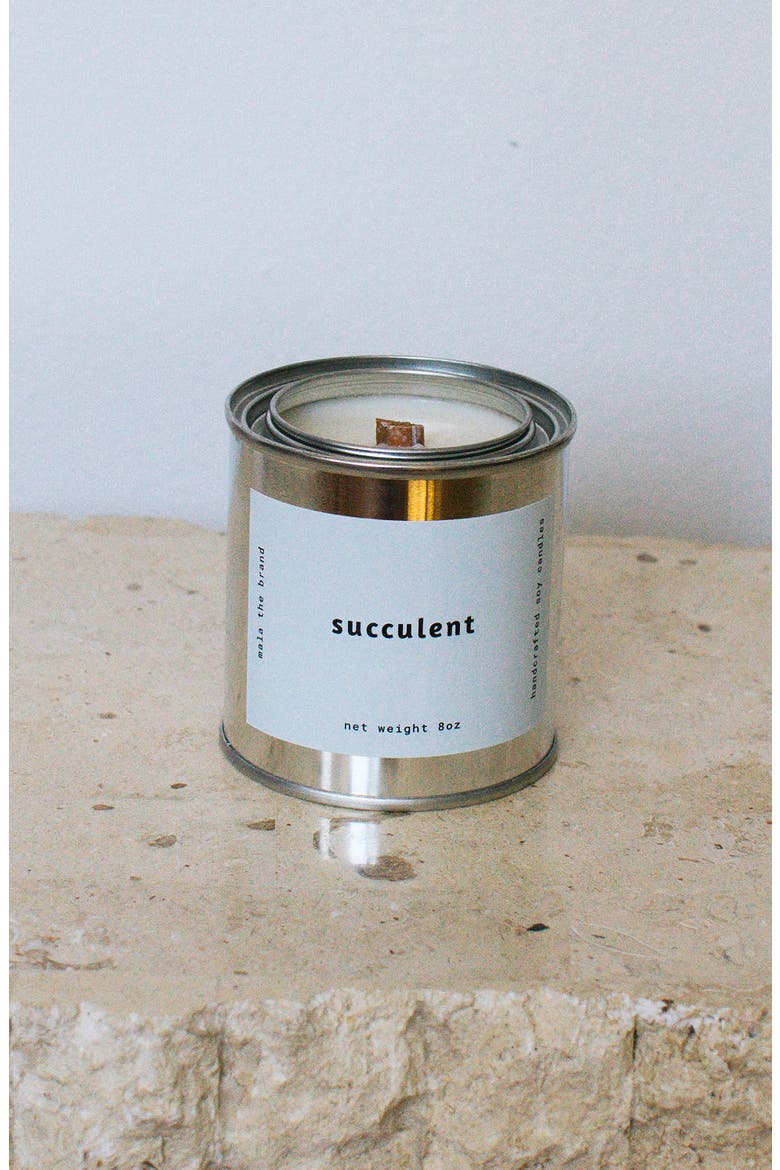 Scented 16-Ounce Candle, Alternate, color, SUCCULENT