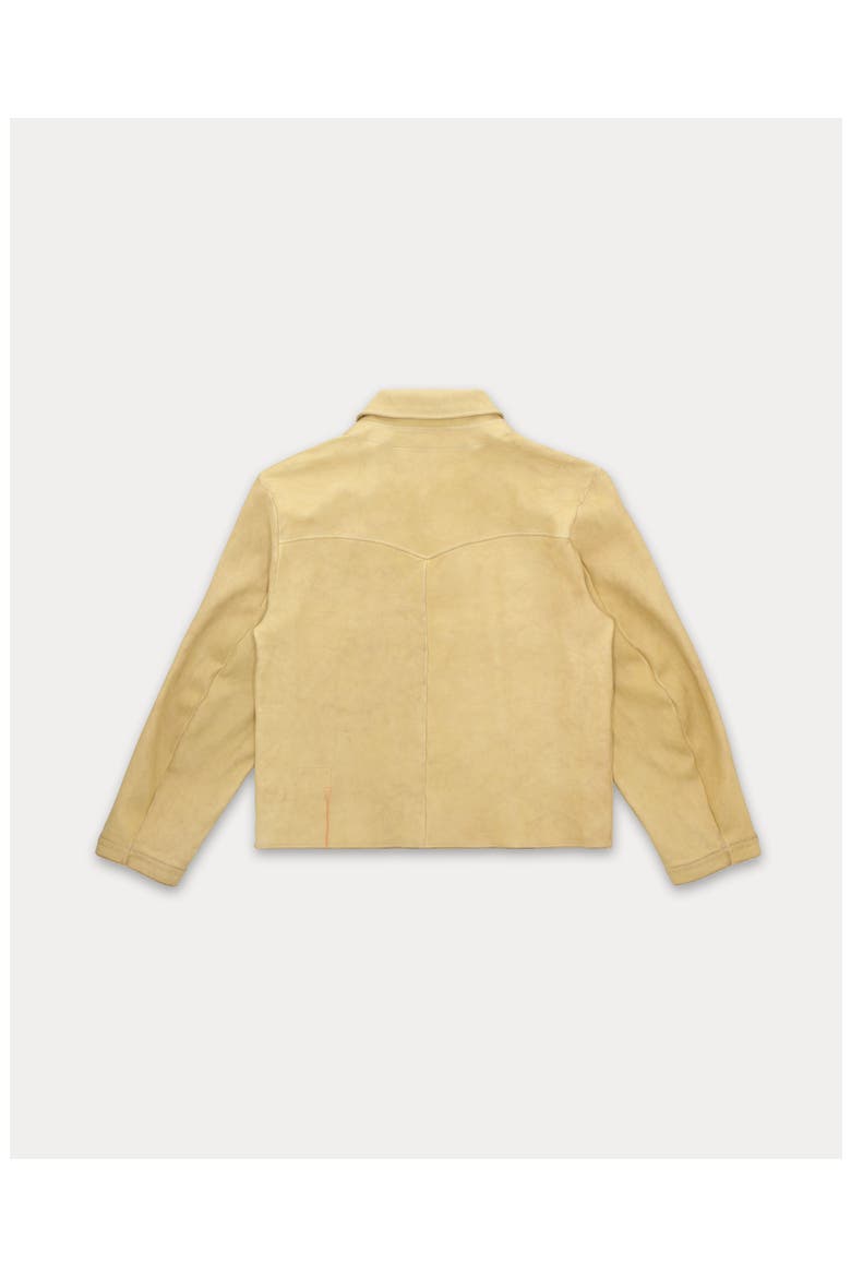Quarter Deer Skin Leather Jacket, Alternate, color, Cream