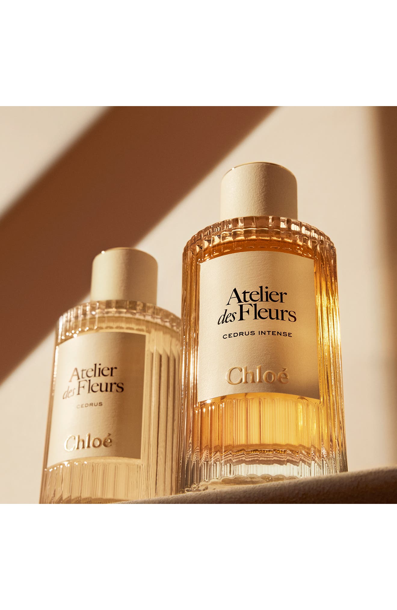 Atelier des Fleurs Cedrus Intense Eau de Parfum for Women (Women