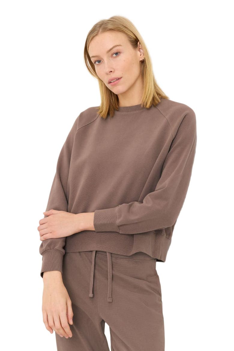 CloudKnit Raglan Crew, Alternate, color, Deep Taupe