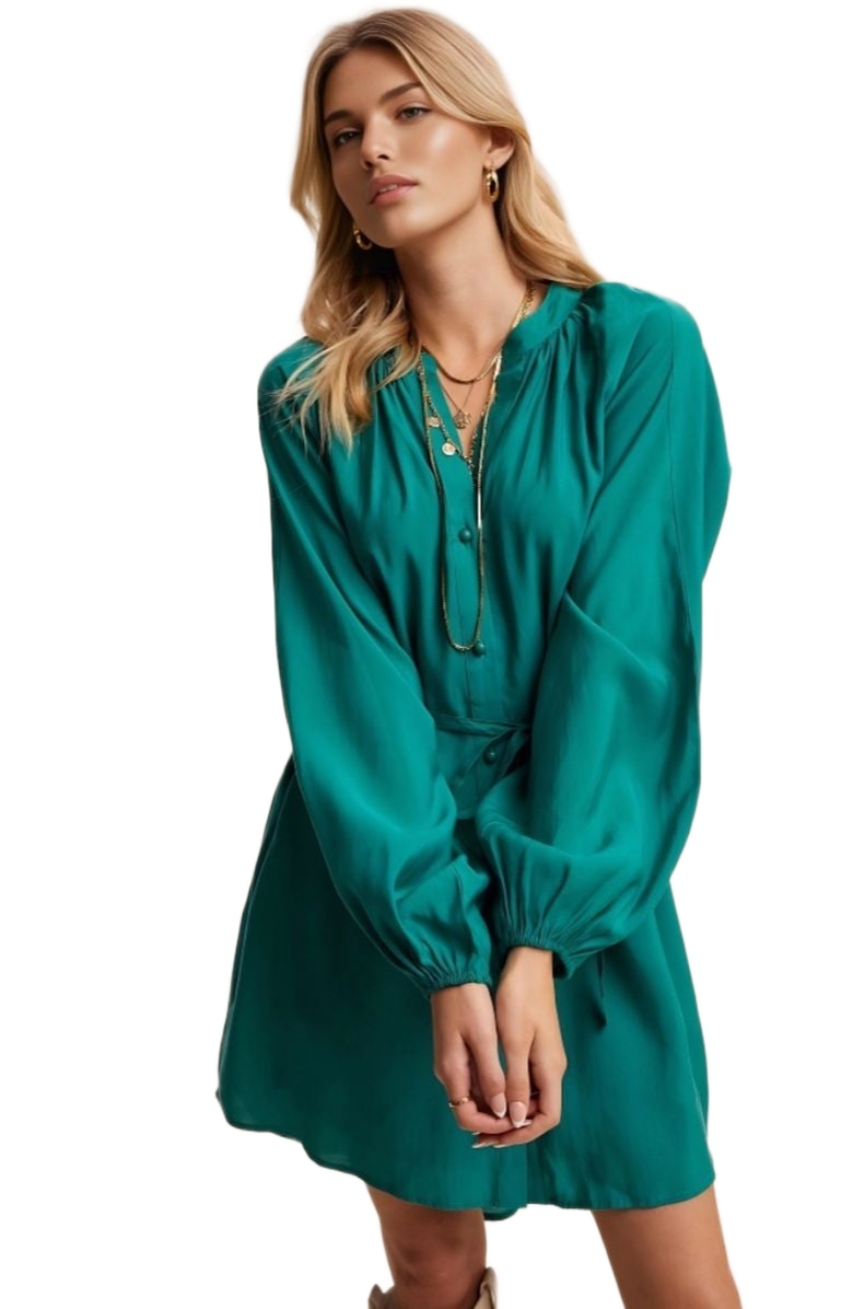 Knit and Lounge Belted Button-Up Bishop Sleeve Mini Dress, Alternate, color, 