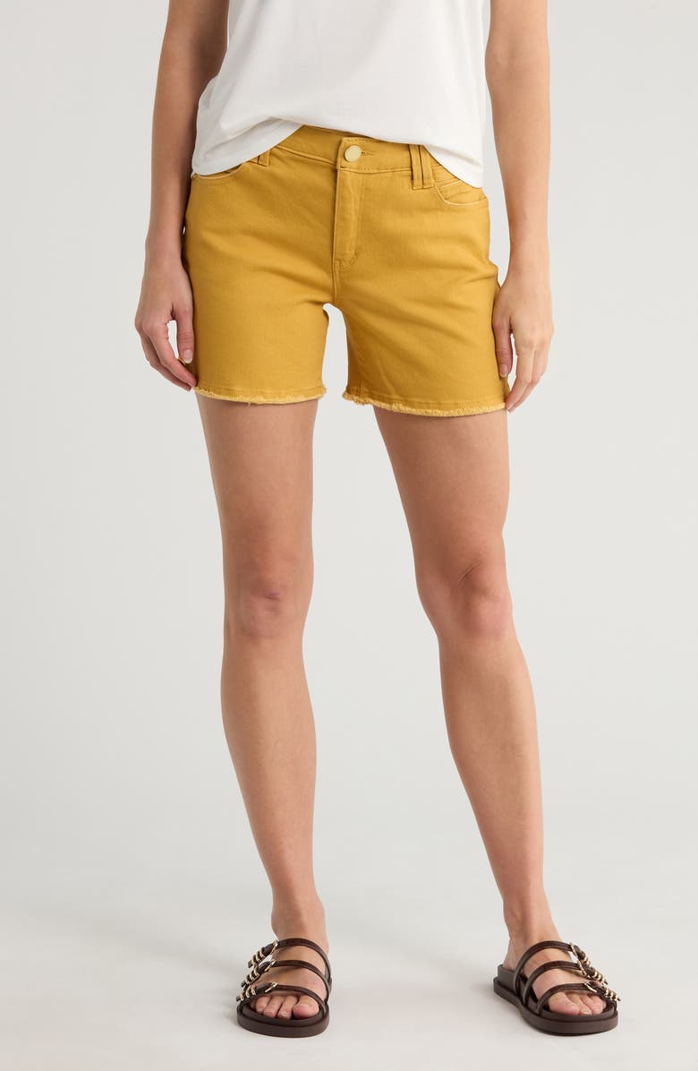 Democracy High Waist Fray Hem Denim Shorts, Main, color, Citrine