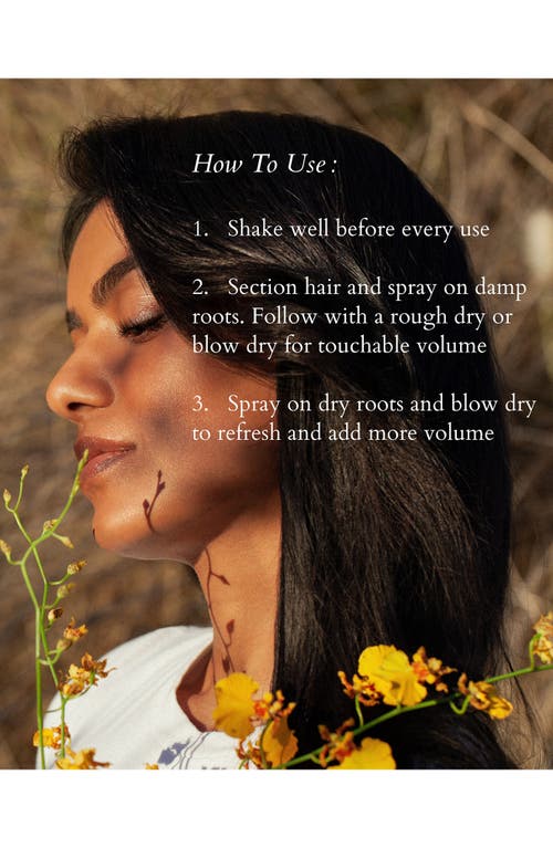 ROZ ROZ ROOT LIFT SPRAY 