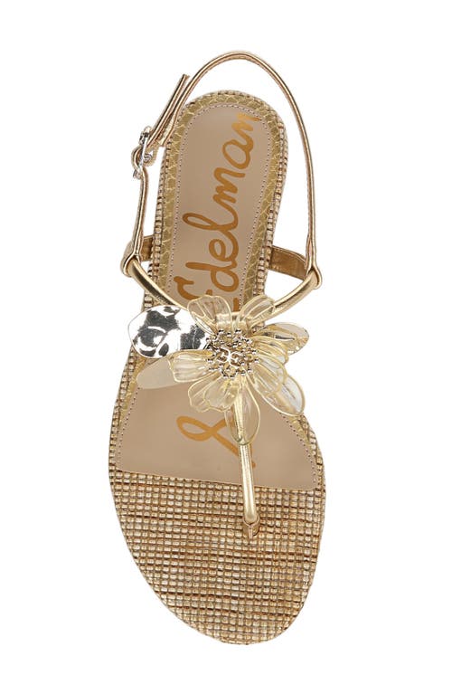 SAM EDELMAN SAM EDELMAN EDEN SLINGBACK SANDAL