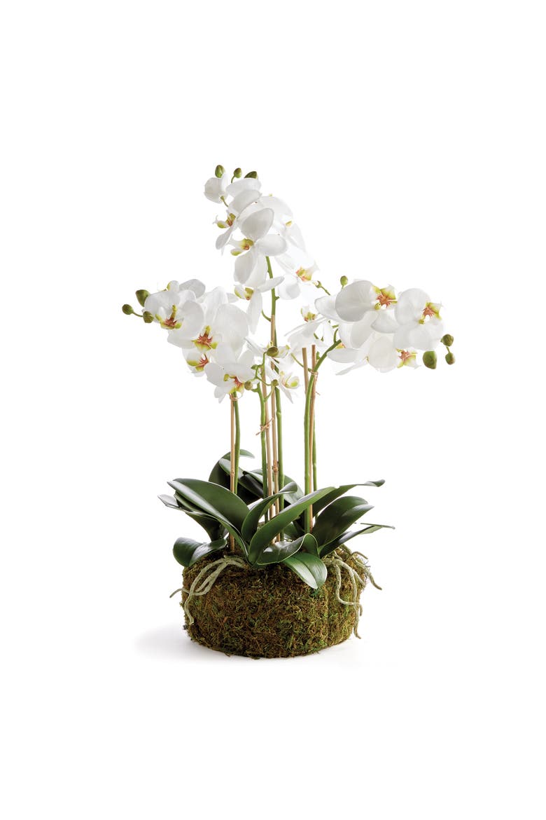 Phalaenopsis Orchid Bowl Artificial Plant Drop-In, Main, color, White