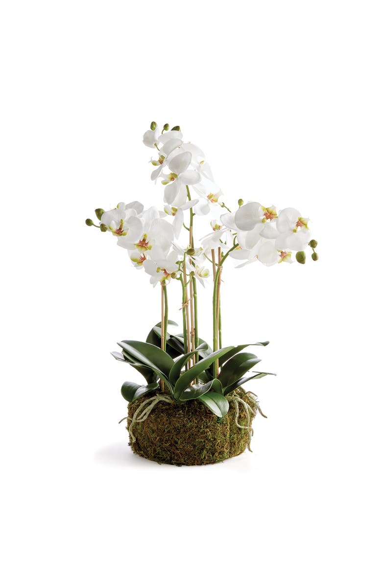 Napa Home & Garden Phalaenopsis Orchid Bowl Artificial Plant Drop-In, Main, color, White