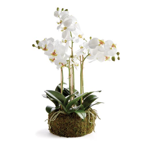Napa Home & Garden Phalaenopsis Orchid Bowl Artificial Plant Drop-in In Multi