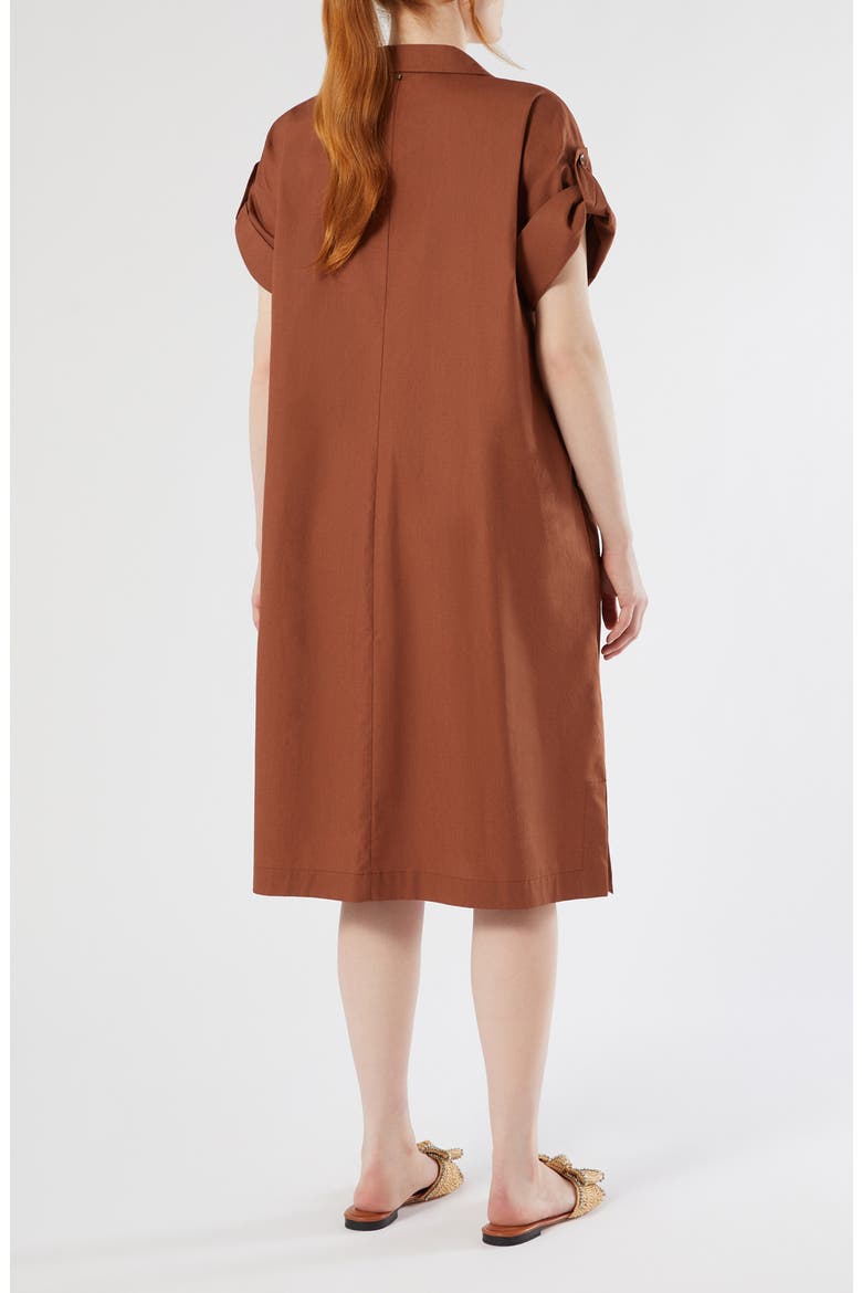 Sacro Shift Dress, Alternate, color, FARD