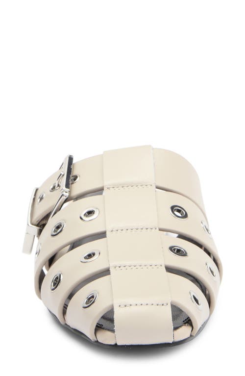 Shop Steve Madden Ladera Mule In Bone Leather