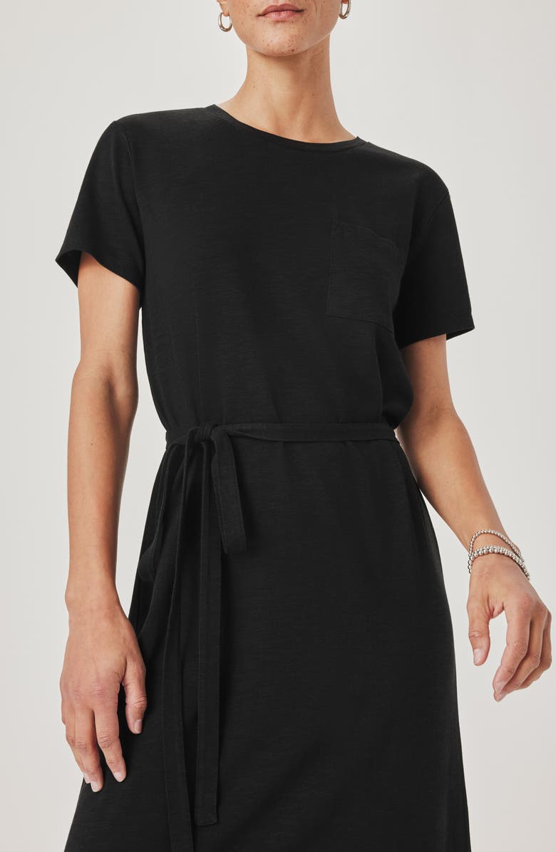 Splendid Keegan T-Shirt Dress, Alternate, color,