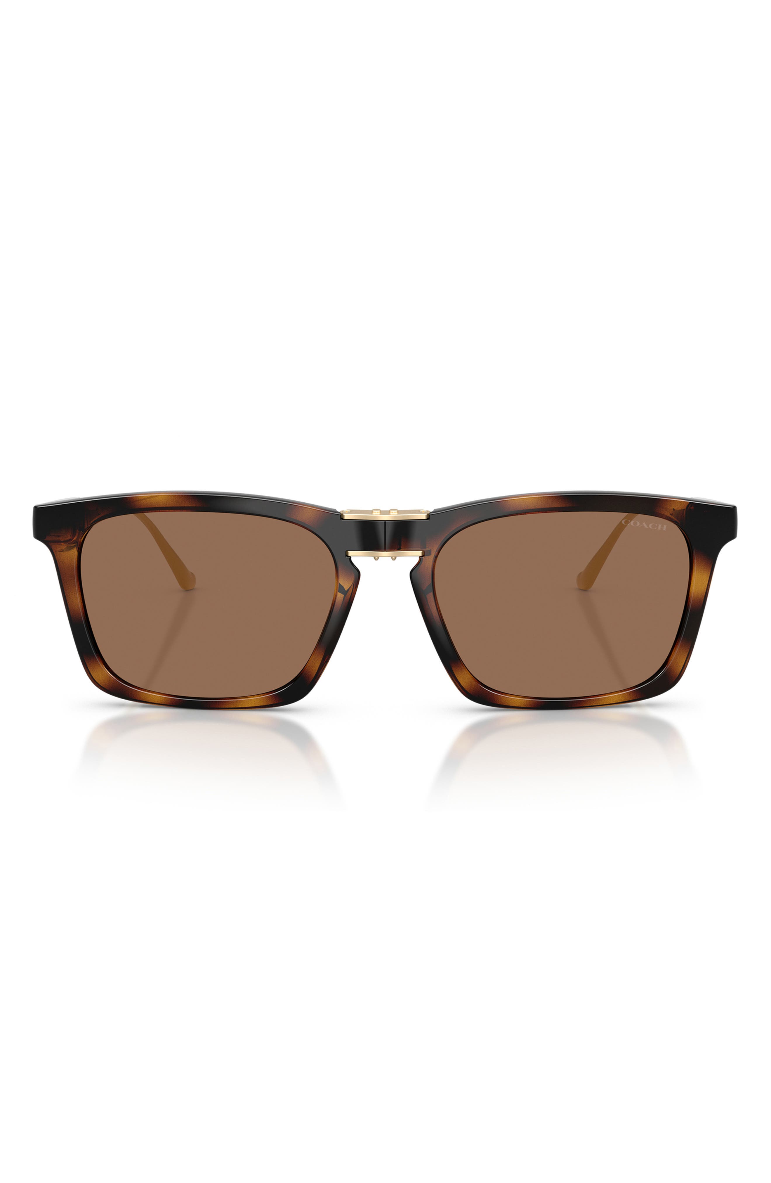 DARK TORTOISE / BROWN SOLID