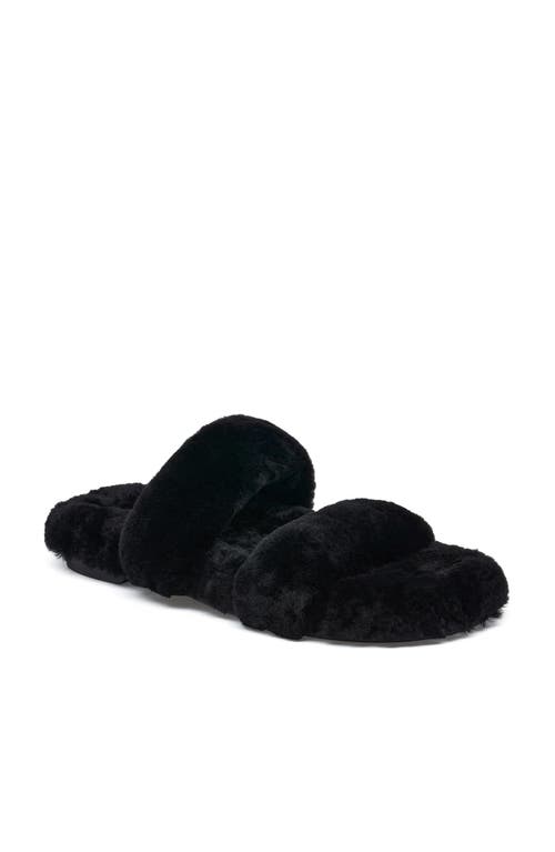 Grace Footwear Catania Sandal In Black