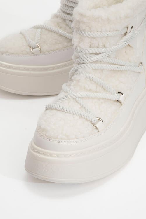 Prologue Shoes Dila Fur Lined Boot In Multi