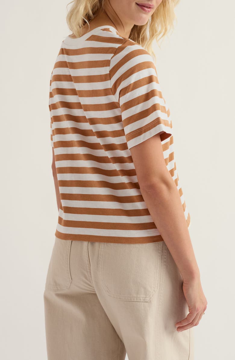 Seasalt Cornwall Copseland Stripe Organic Cotton T-Shirt, Alternate, color, Scallion Chalk Basket