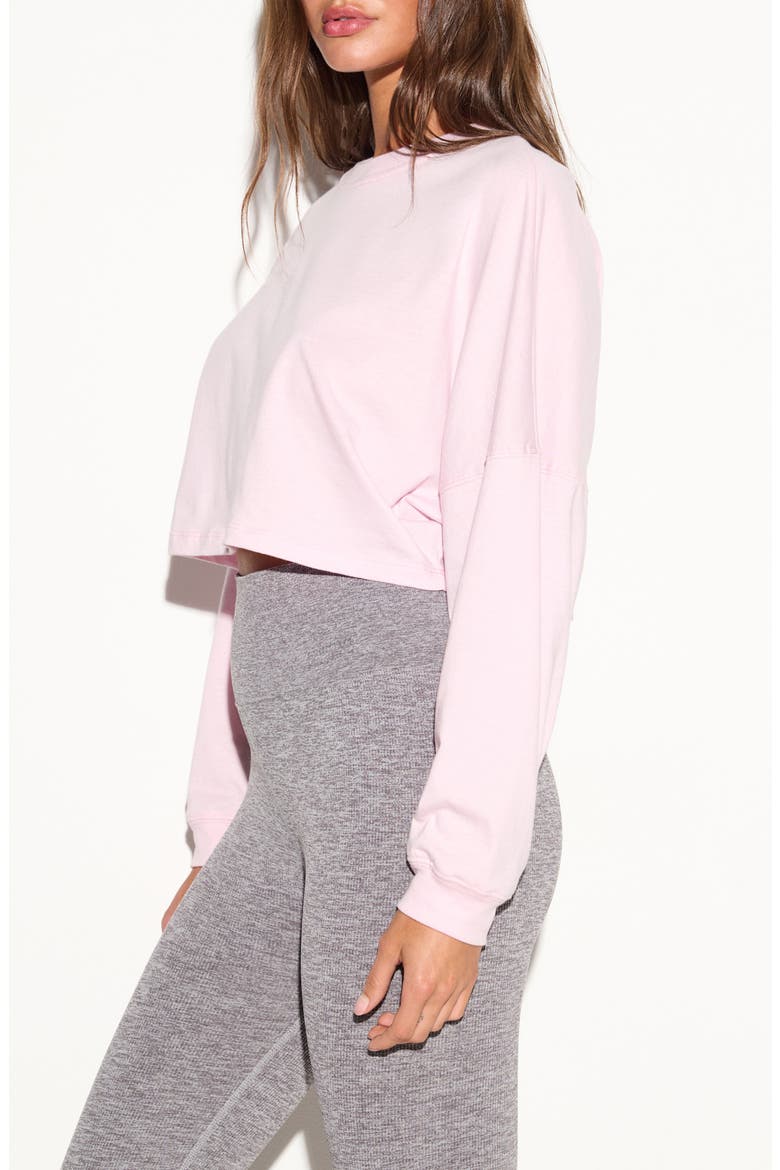 Sierra Long Sleeve Crop T-Shirt, Alternate, color, DUSTY ROSE