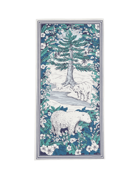 Solara Tales Teal Scarf