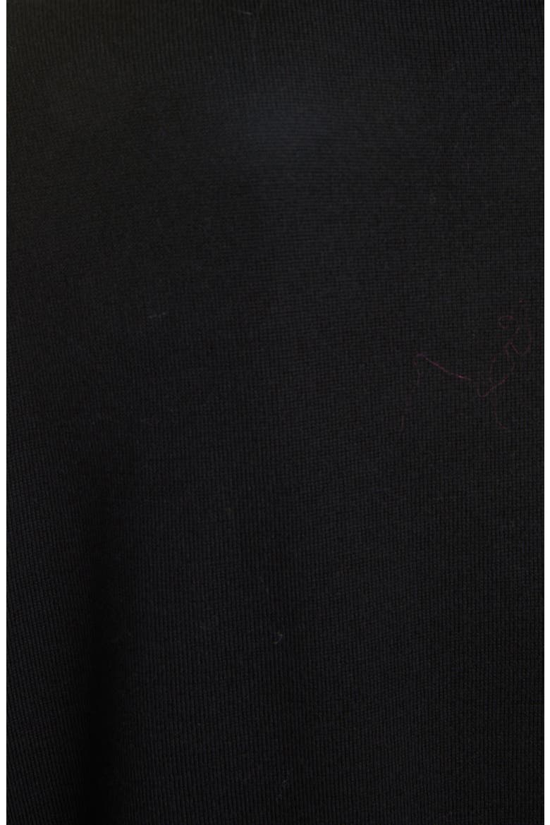 Jeline V-Neck Merino Wool Sweater, Alternate, color, BLACK