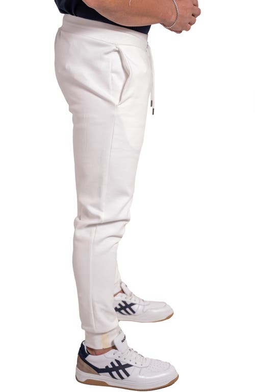 Maceoo Ascension 86 Cotton Blend Joggers In Animal Print