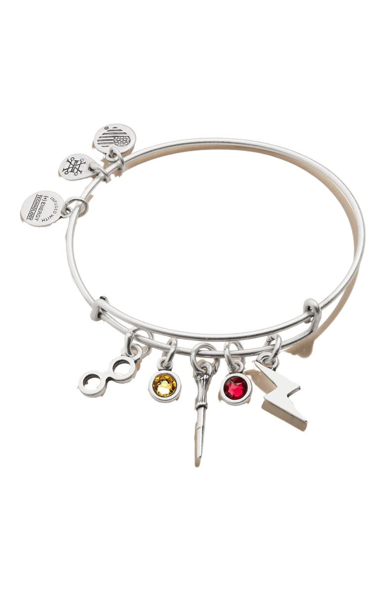 Alex and Ani Harry Potter<sup>™</sup> Hemione Multi Charm Bangle Bracelet, Main, color, Silver