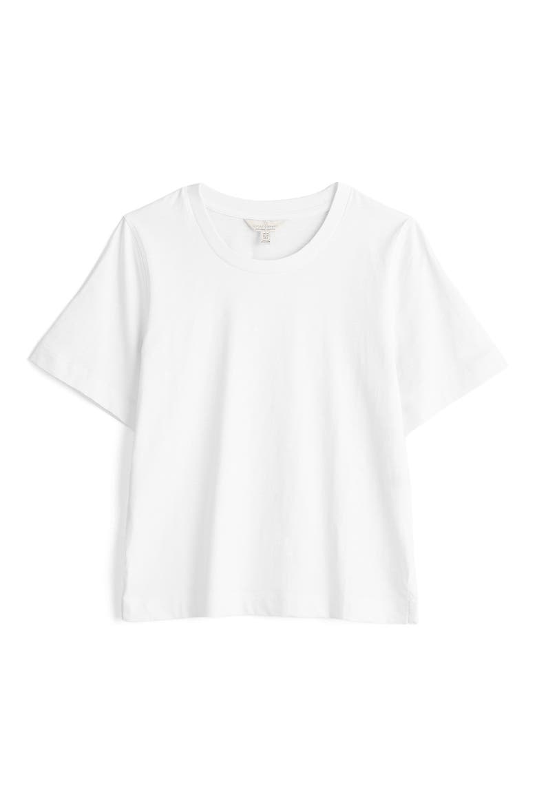 Copseland Organic Cotton T-Shirt, Alternate, color, SALT