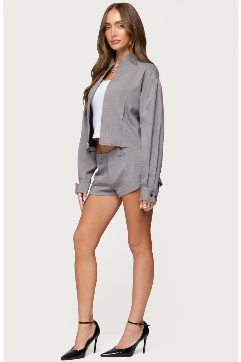 Roshelle High Neck Jacket, Alternate, color, LIGHT-GRAY